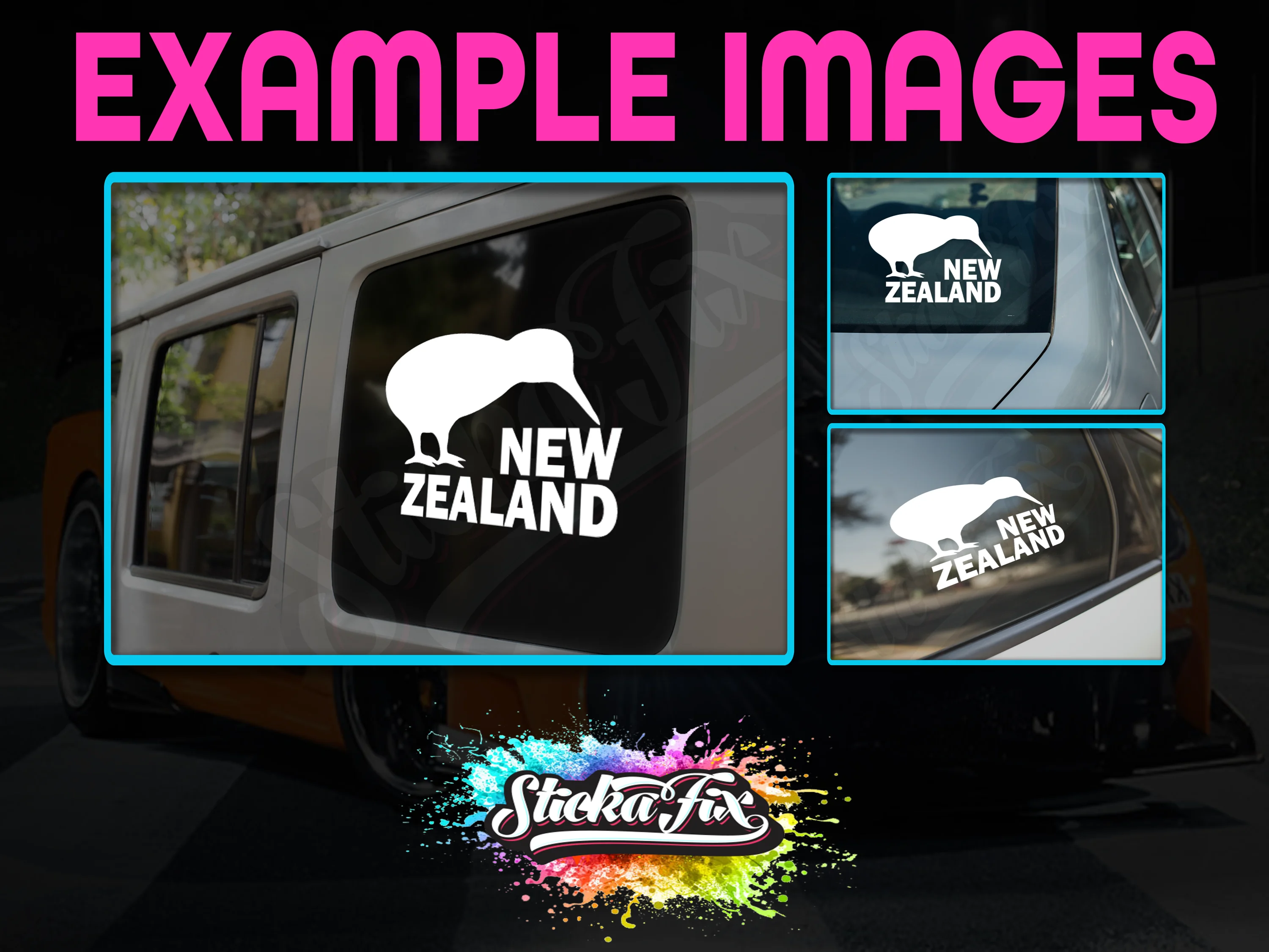 New Zealand Kiwi Bird