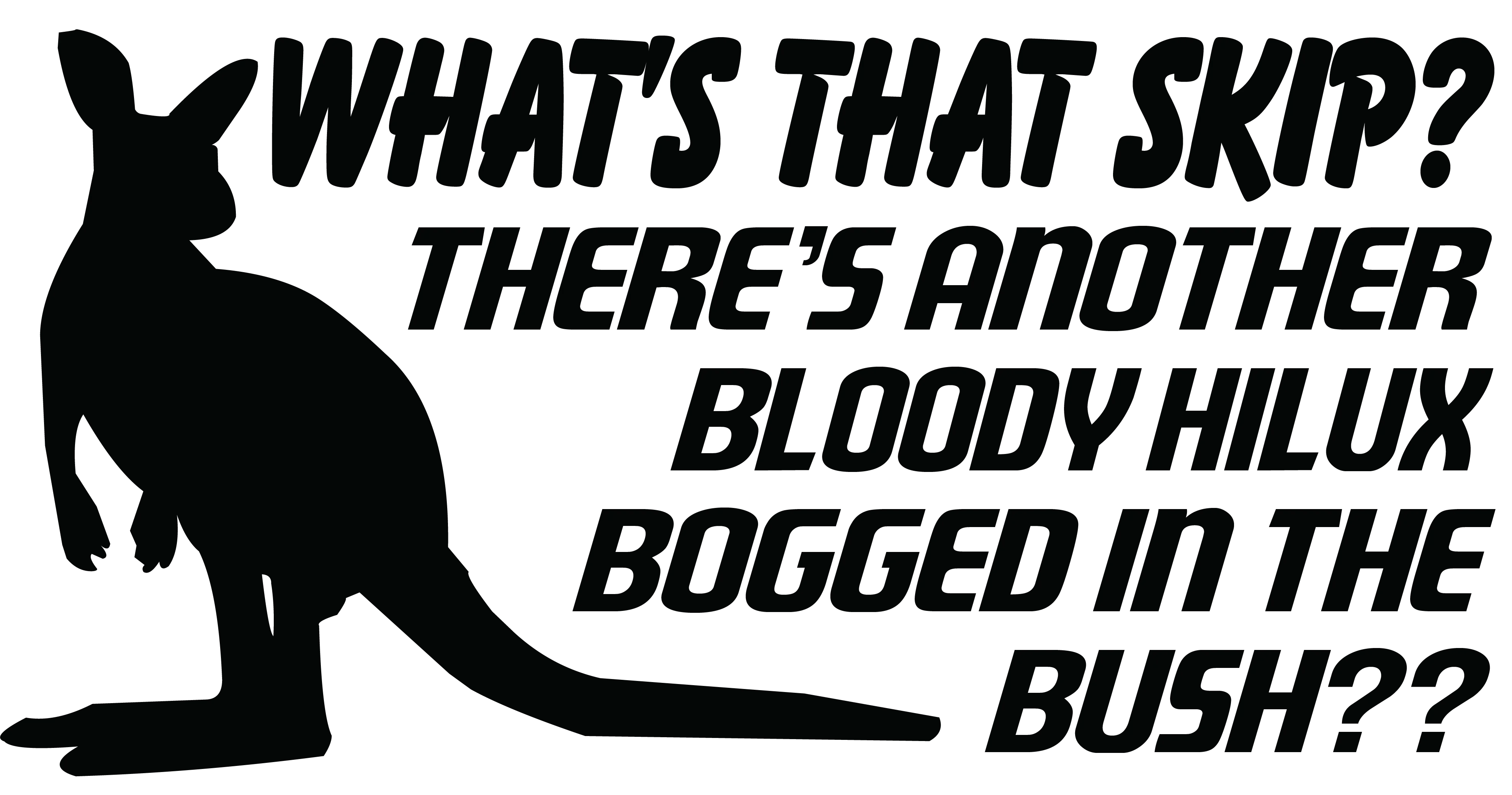 Hilux Whats That Skip